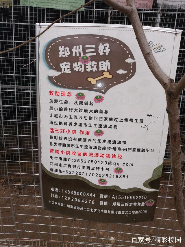 郑州八中2022届9班的社会实践团队参观郑州三好宠物救助站