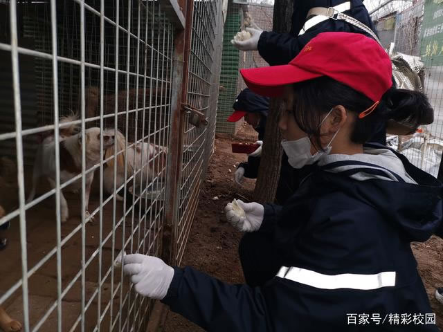 郑州八中2022届9班的社会实践团队参观郑州三好宠物救助站